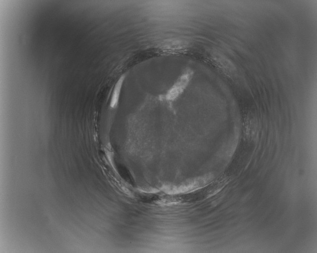 X0000074011346200609181823