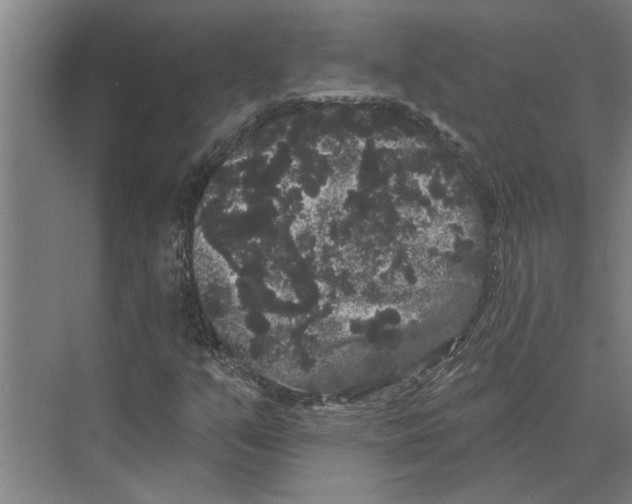 X0000074011351200609181823