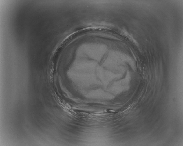 X0000074011352200609181823