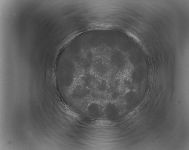 X0000074011354200609181823