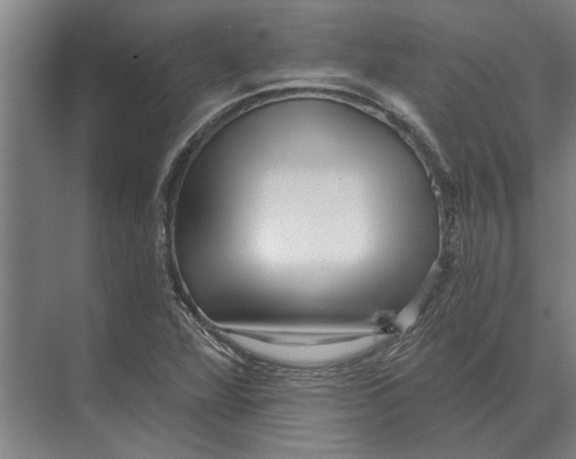 X0000074011360200609181823