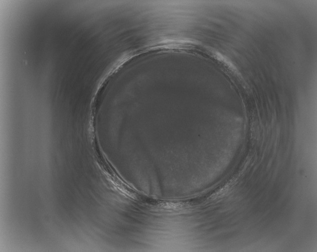 X0000074011362200609181823