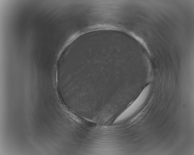 X0000074011365200609181823