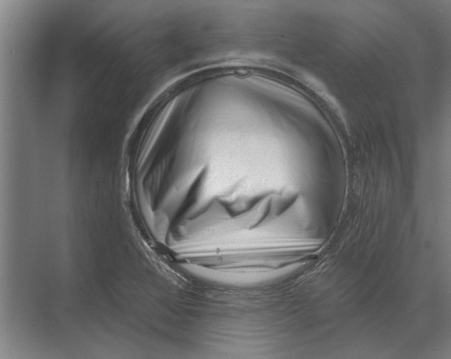 X0000074011368200609181823