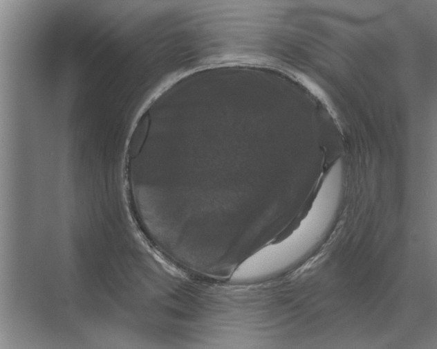 X0000074011373200609181823