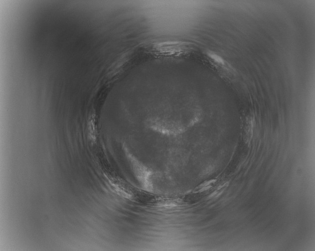 X0000074011394200609181822