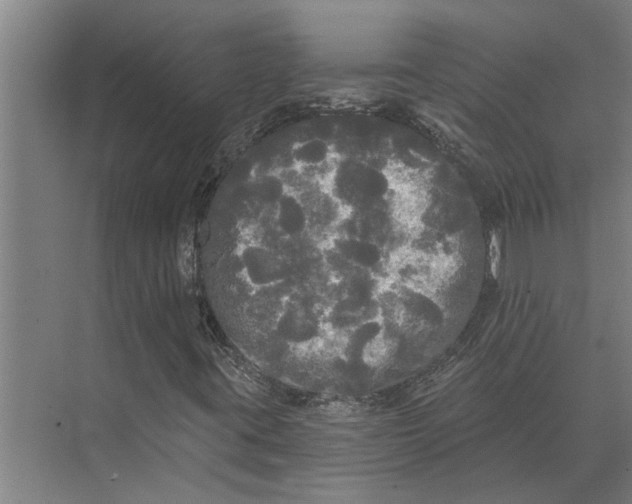 X0000074011395200609181822