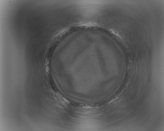 X0000074011398200609181822