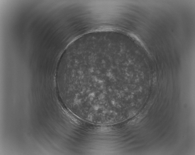 X0000074011409200609181822