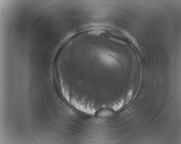 X0000074011411200609181822