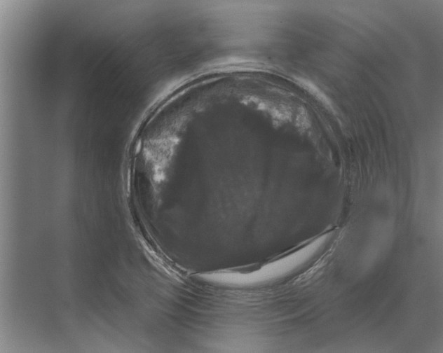 X0000074011413200609181822