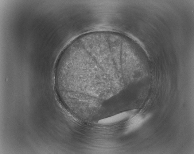 X0000074011415200609181822