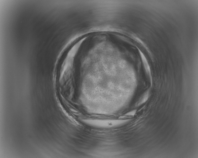 X0000074011416200609181822