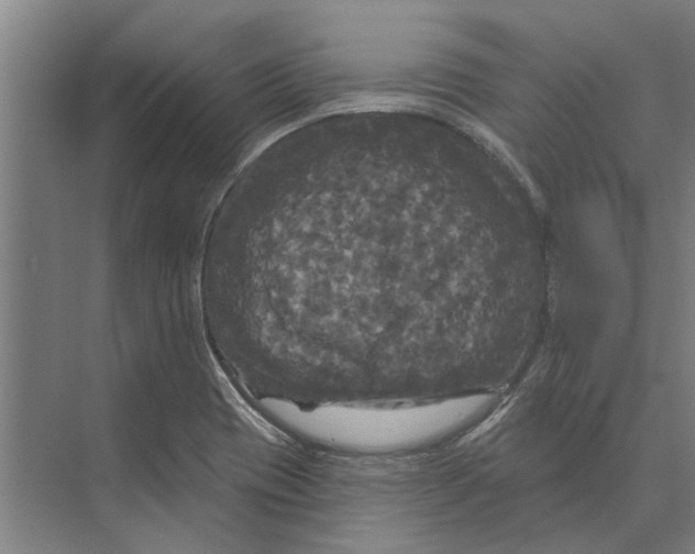 X0000074011417200609181822