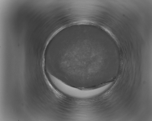 X0000074011418200609181822