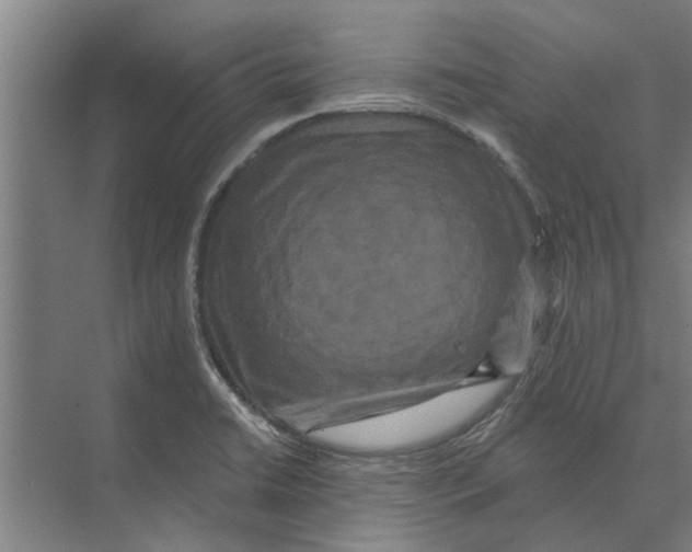 X0000074011422200609181822