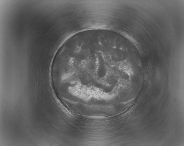 X0000074011423200609181822