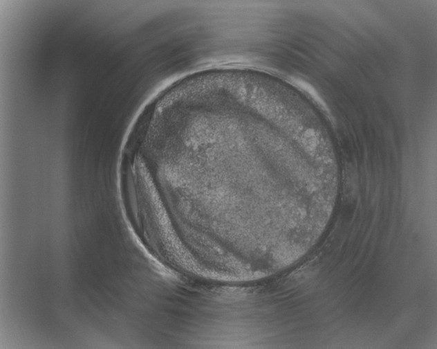 X0000074011424200609181822