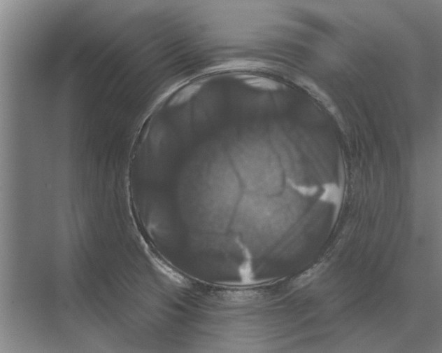 X0000074011425200609181822