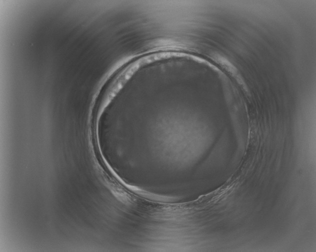 X0000074011427200609181822