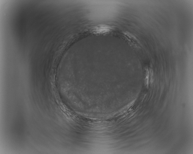 X0000074011441200609181822