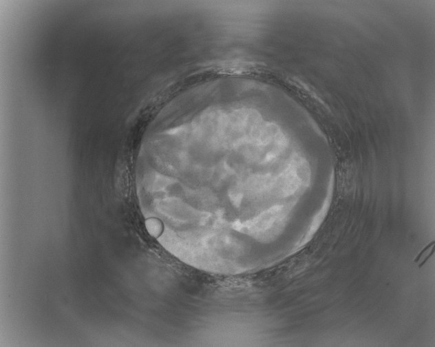 X0000074011446200609181822