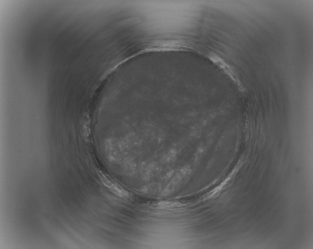 X0000074011449200609181822