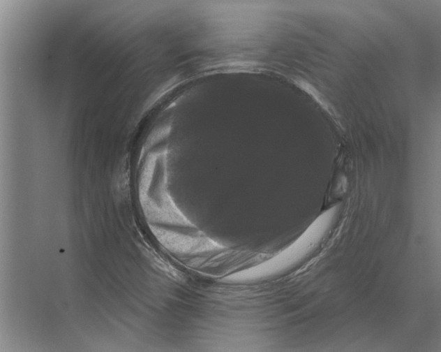 X0000074011450200609181822