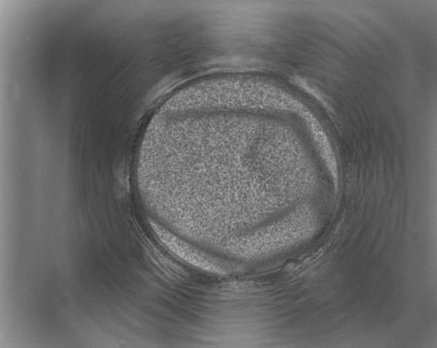 X0000074011451200609181822