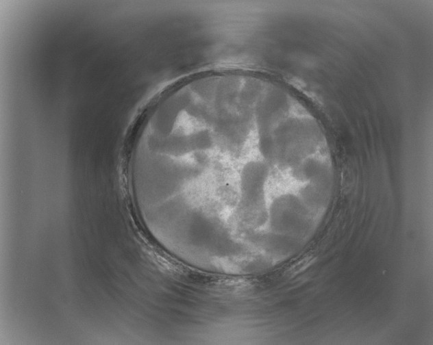 X0000074011454200609181822