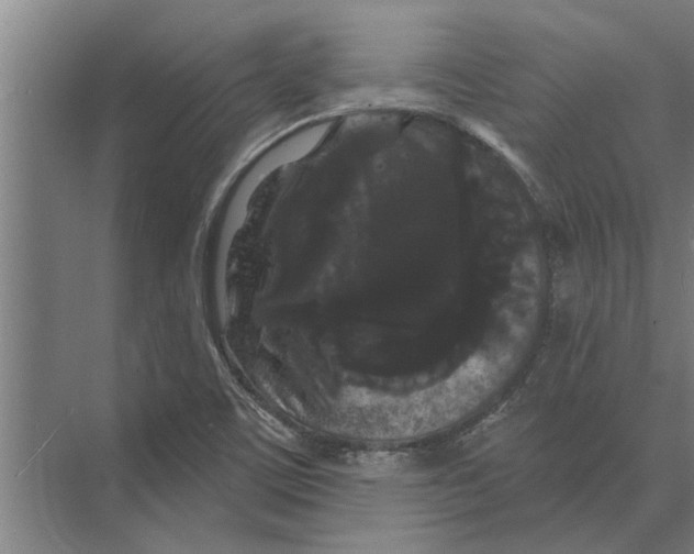 X0000074011459200609181822