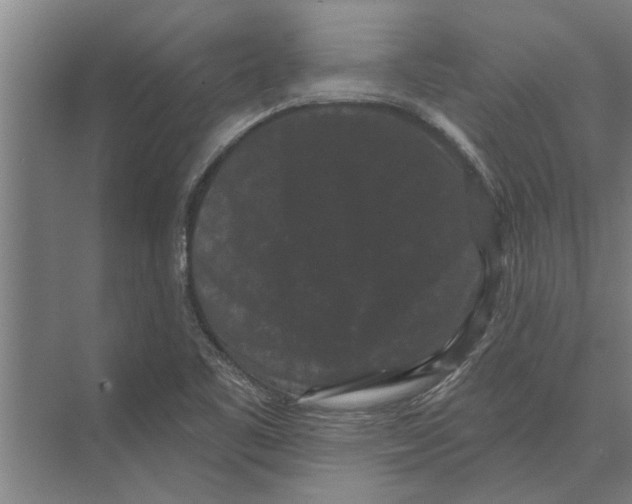 X0000074011461200609181822