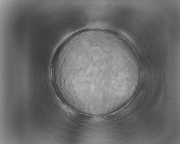 X0000074011462200609181822