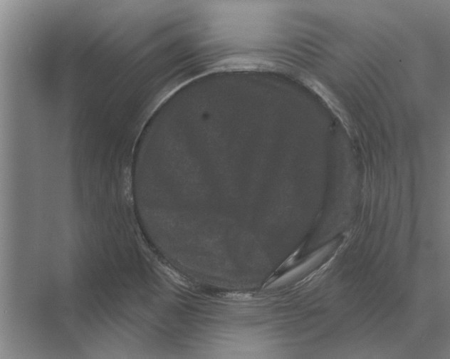 X0000074011465200609181821