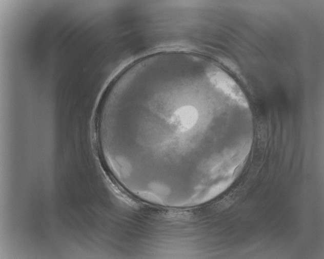 X0000074011466200609181821