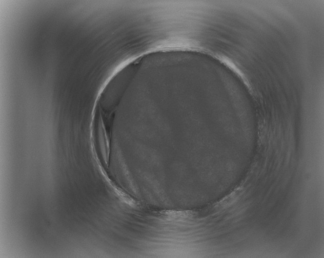 X0000074011469200609181821