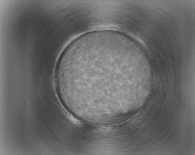 X0000074011470200609181821