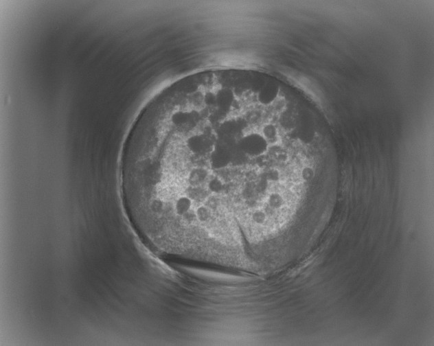 X0000074011471200609181821