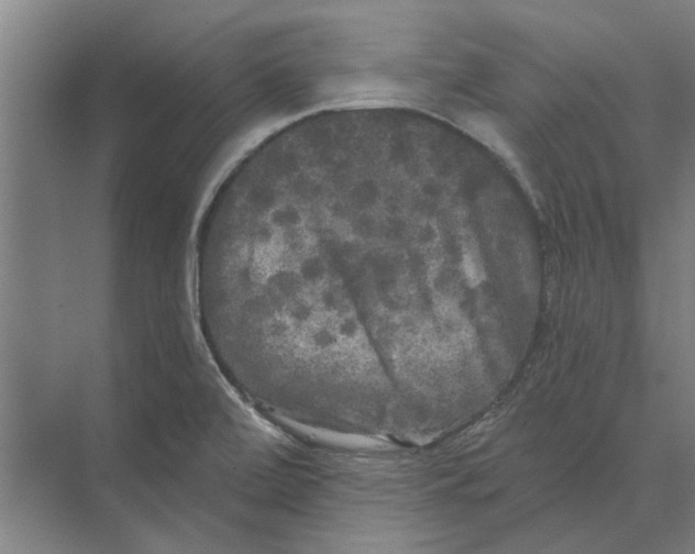 X0000074011472200609181821