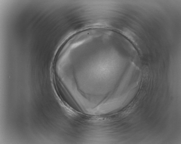 X0000074011474200609181821