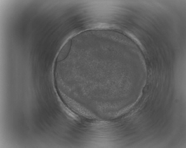 X0000074011475200609181821