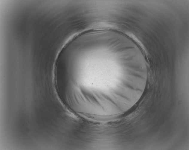 X0000074011477200609181821