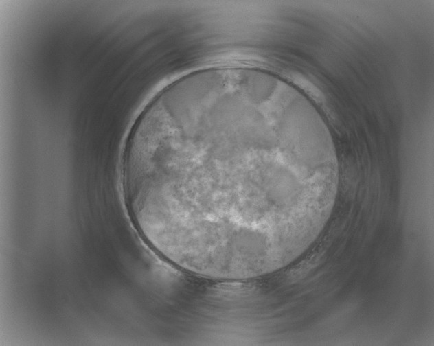 X0000074011478200609181821