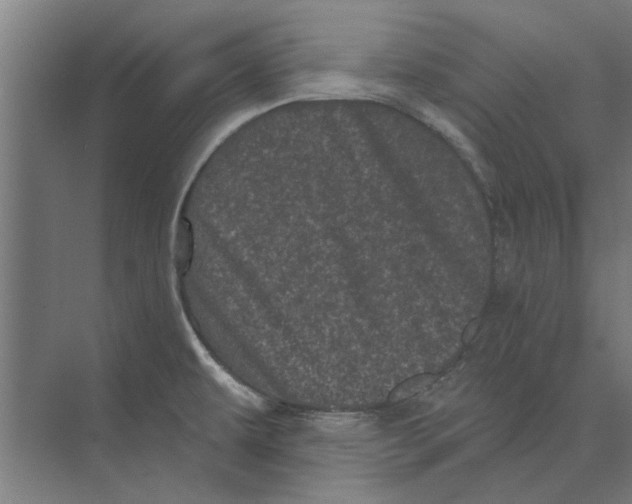 X0000074011479200609181821