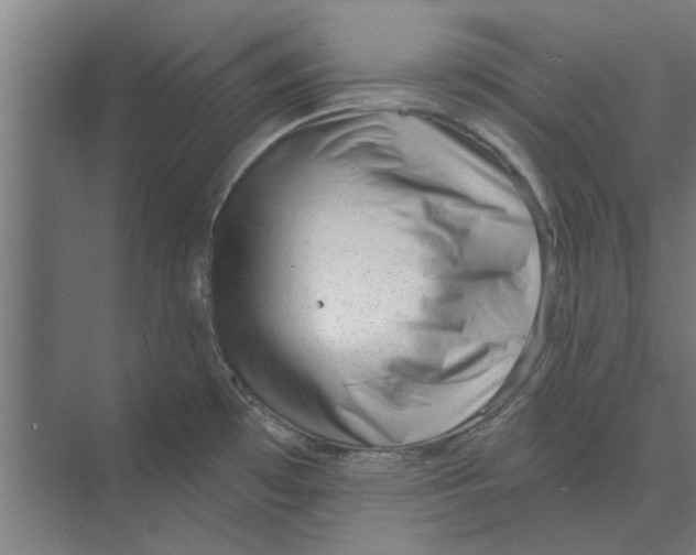 X0000074011481200609181821