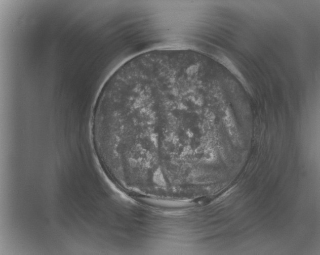 X0000074011484200609181821