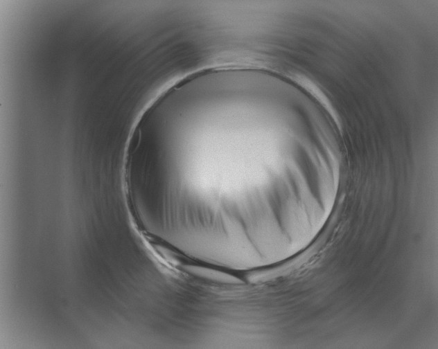 X0000074011485200609181821