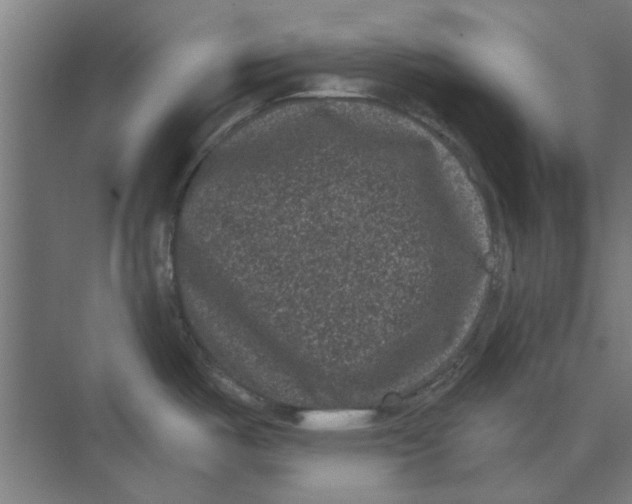 X0000074011487200609181821