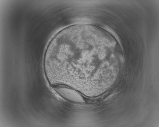 X0000074011488200609181821