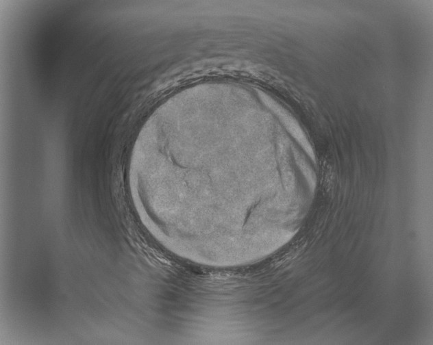 X0000074011489200609181820